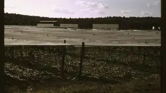 White cheesecloth shade structures over tobacco fields, with cut stalks on the ground.