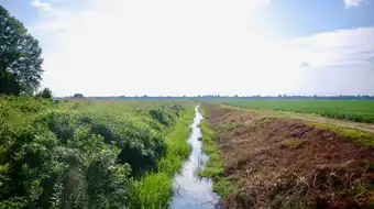 Ditch No. 70, a straight drainage canal cutting through flat farmland near Bragg City in Pemiscot County, Missouri.